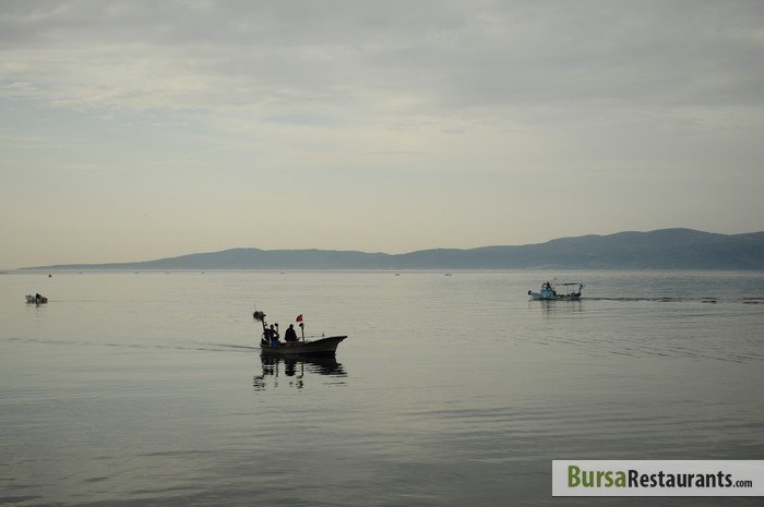 Yalı Balık Restoran
