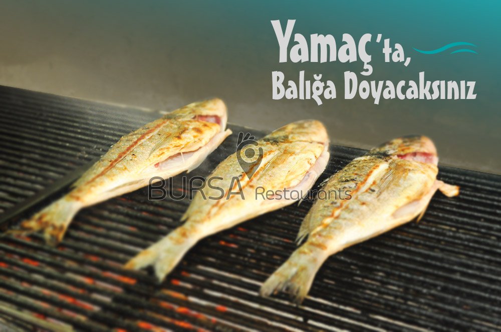 Yamaç Et Mangal ve Aile Çay Bahçesi