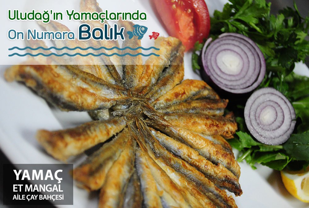 Yamaç Et Mangal ve Aile Çay Bahçesi