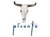 logo Picante Bursa